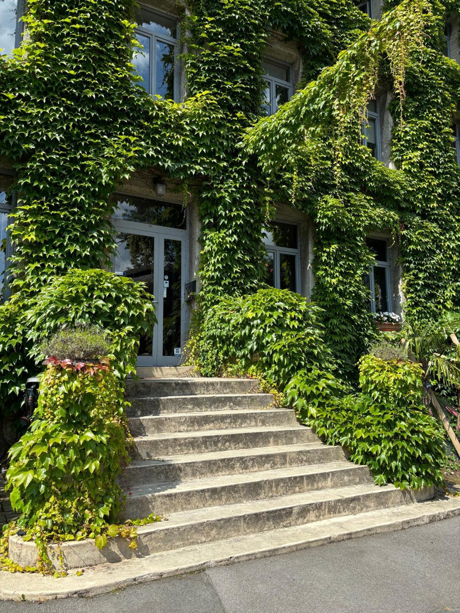 Logis Hotel-Restaurant - Le Moulin D'Artres Eksteriør billede